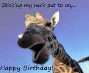 Giraffe Happy Birthday Greeting