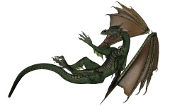 Green Dragon  4