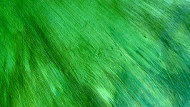 Green Fine Grain Background