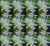 Green Knitted Background