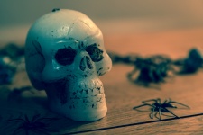 Halloween Skull Decoration