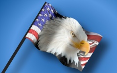 Usa Eagle Flag