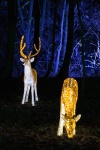 Illuminated Deer