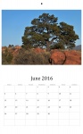June 2016 Wall Calendar