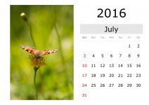 Calendar - July 2016 (English)
