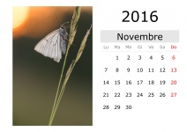 Calendar - November 2016 (Italian)