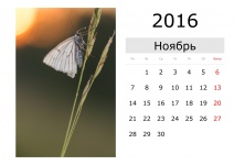 Calendar - November 2016 (Russian)