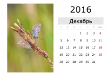 Calendar - December 2016 (Russian)