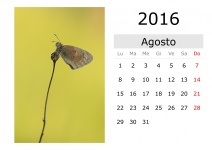 Calendar - August 2016 (Italian)