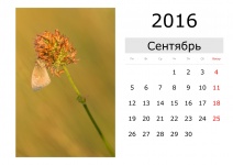 Calendar - September 2016 (Russian)
