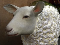 Lamb Decoration