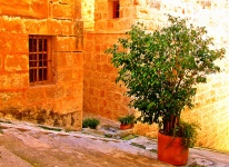 Mediterranean Village Scene