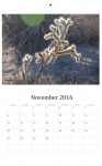 November 2016 Wall Calendar
