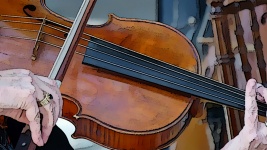 Playing The Viola