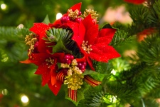 Poinsettia Christmas Decoration