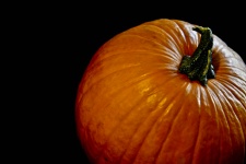 Pumpkin On Black Closeup