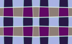 Purple Blocks