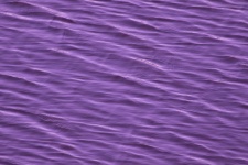 Purple Water Surface