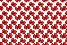 Red Bows Backing Paper