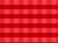 Red Chequered Blocks