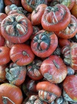 Red Gourds