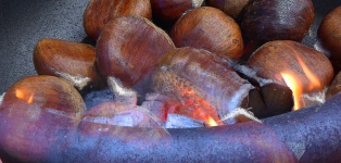 Roasting Chestnuts Open Fire
