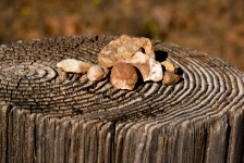 Rocks Of The Desert