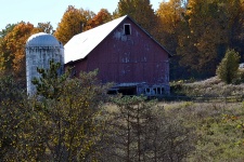 Rustic Barn In Fall Foliage