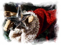 Santa Holds A Silver Star