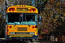 School Bus In The Fall