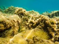 Seabed Underwater