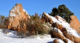 Snow Covered Rocks