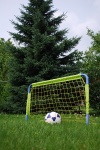 Soccerball And Net