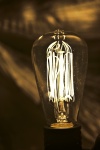 The Edison Bulb