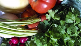 Vegetable Closeup
