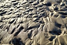 Wet Sand Photo