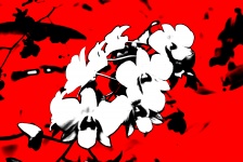 White Orchids On Red