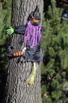 Witch Hit The Tree