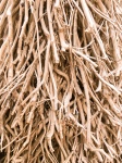 Wooden Twigs Background