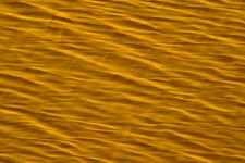 Yellow Water Surface