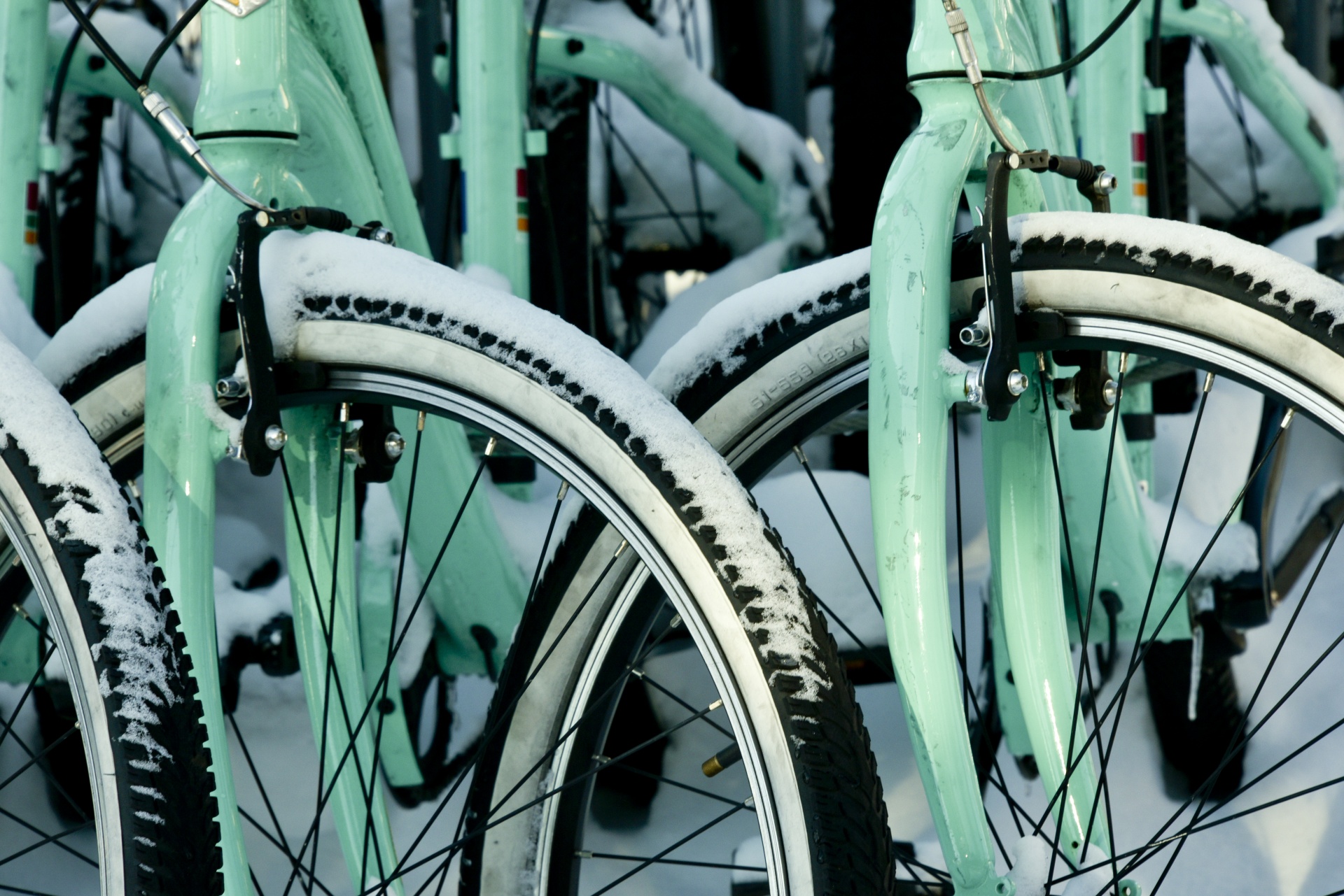 Bicycle Snow Tires