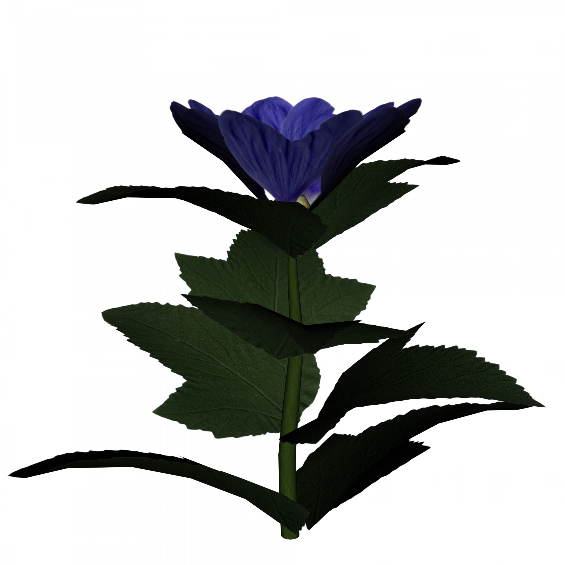 Blue Flower II