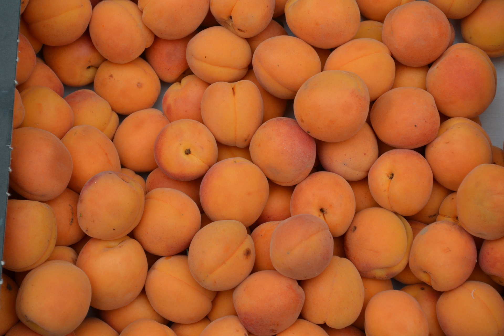 A box of Apricots pictured on a French Market Stall