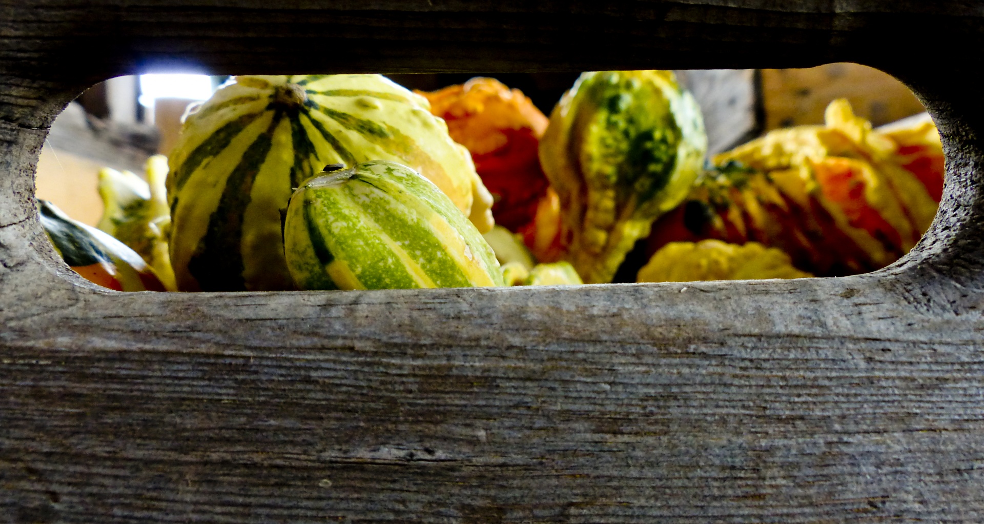 Crate Of Gourds