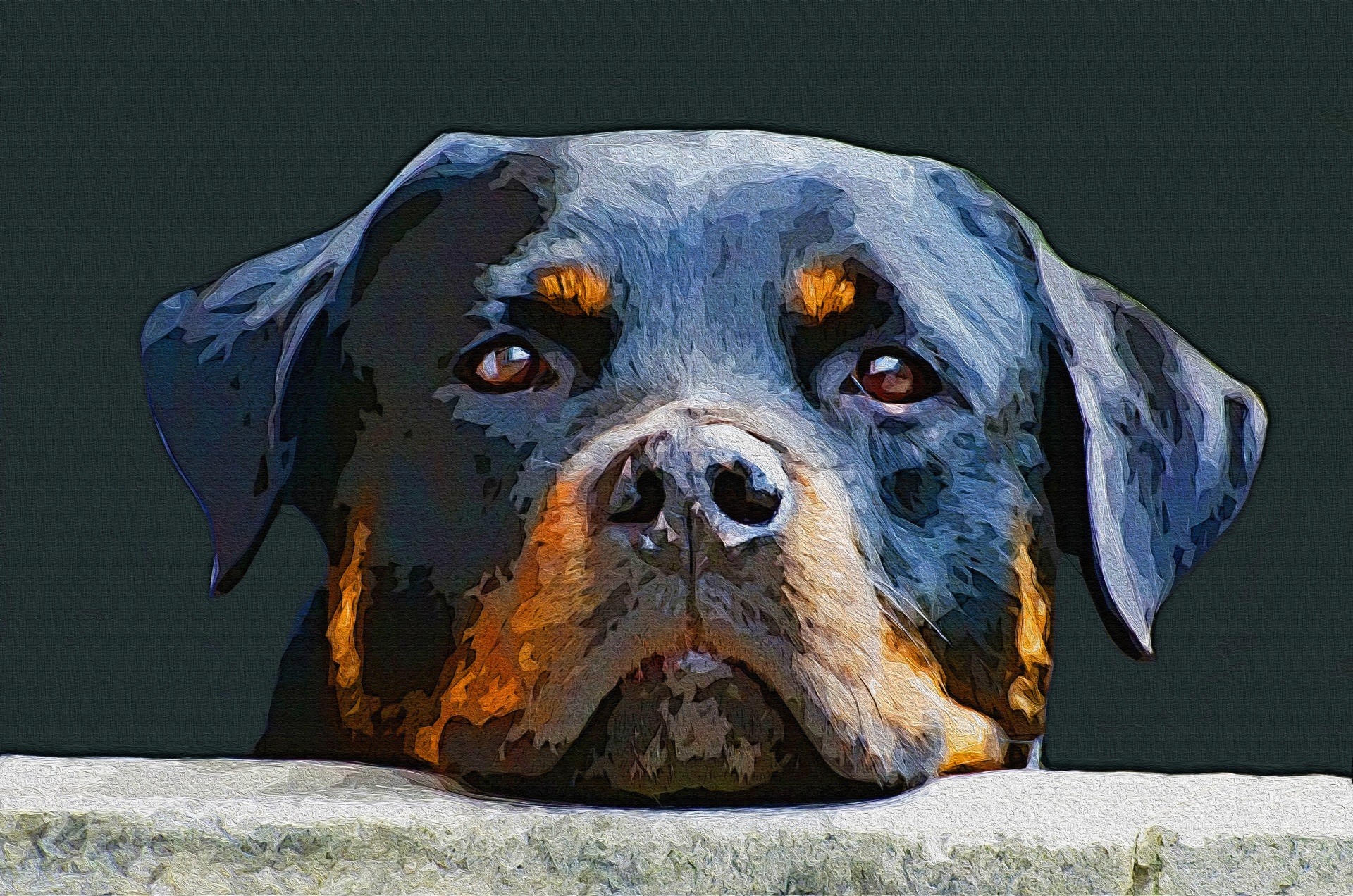 Digitally Painted Rottweiler Dog