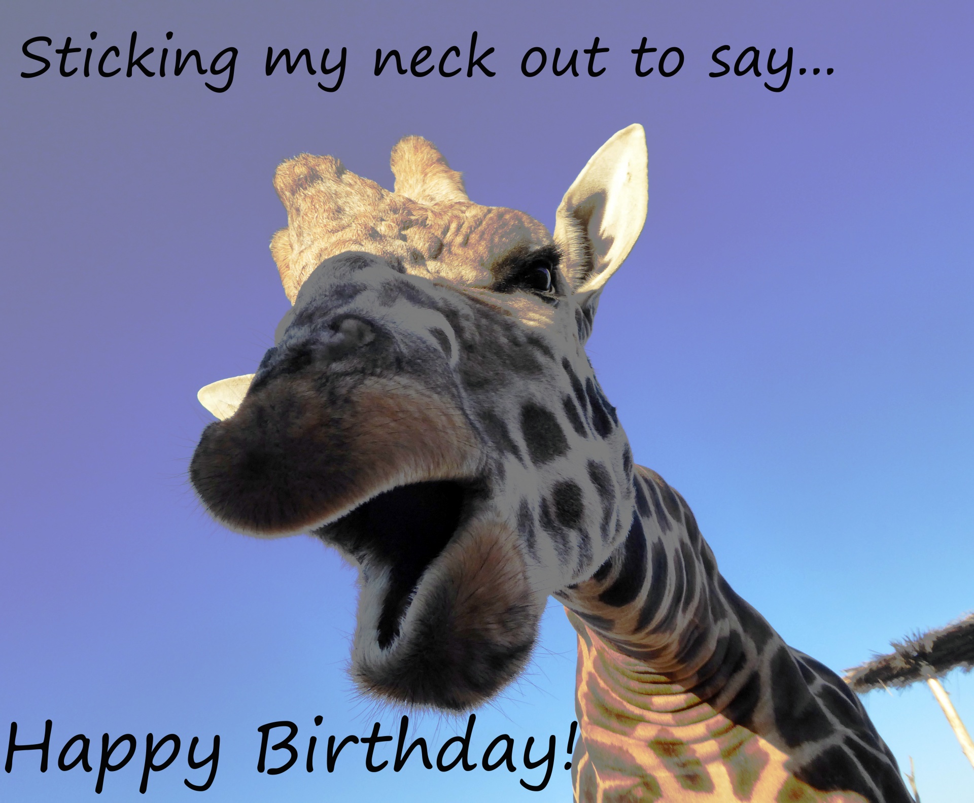 Funny giraffe greetings for a happy birthday
