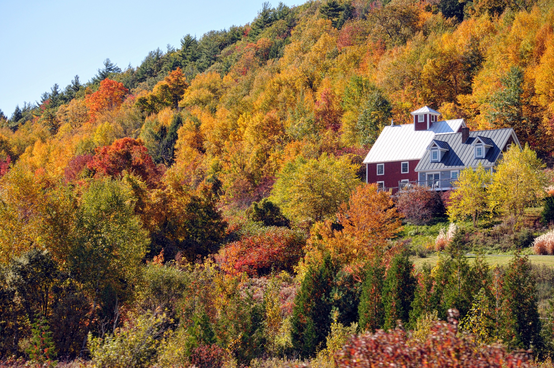 Home Nestled In Fall Foliage
