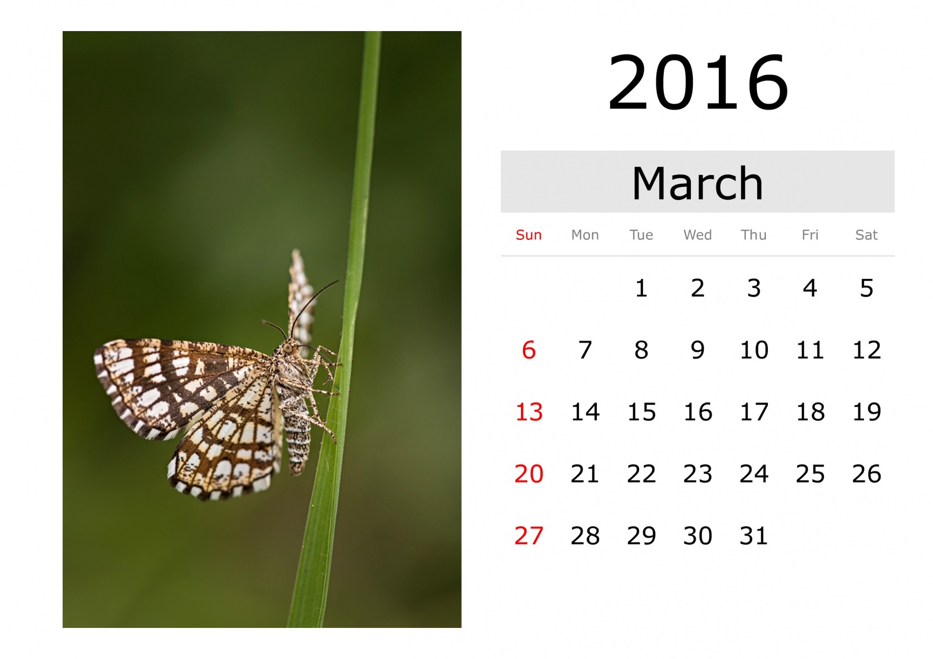 Calendar - March 2016 (English)