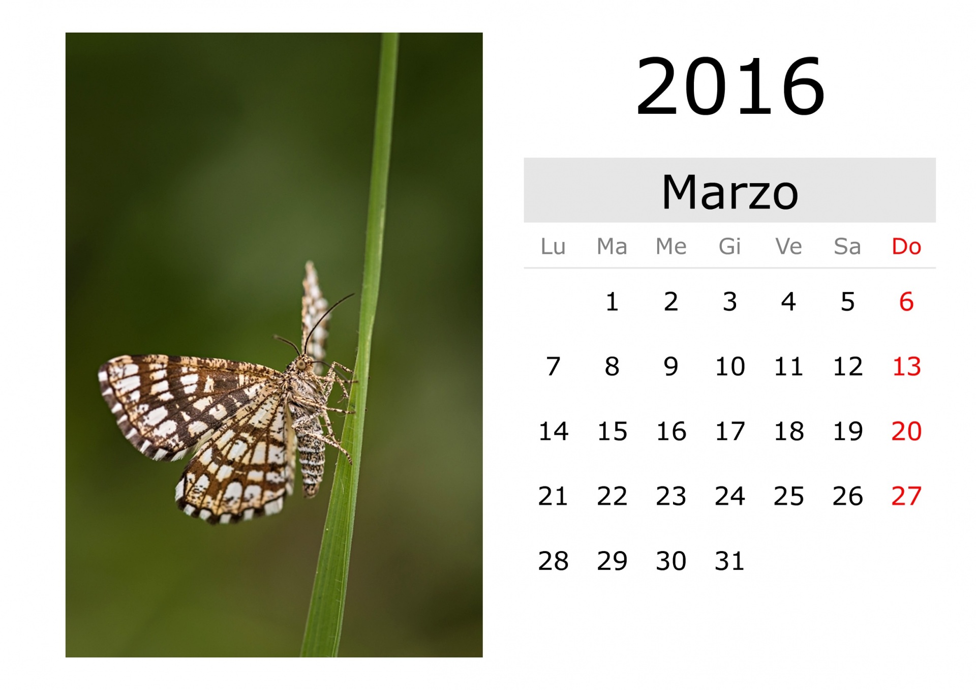 Calendar - March 2016 (Italian)