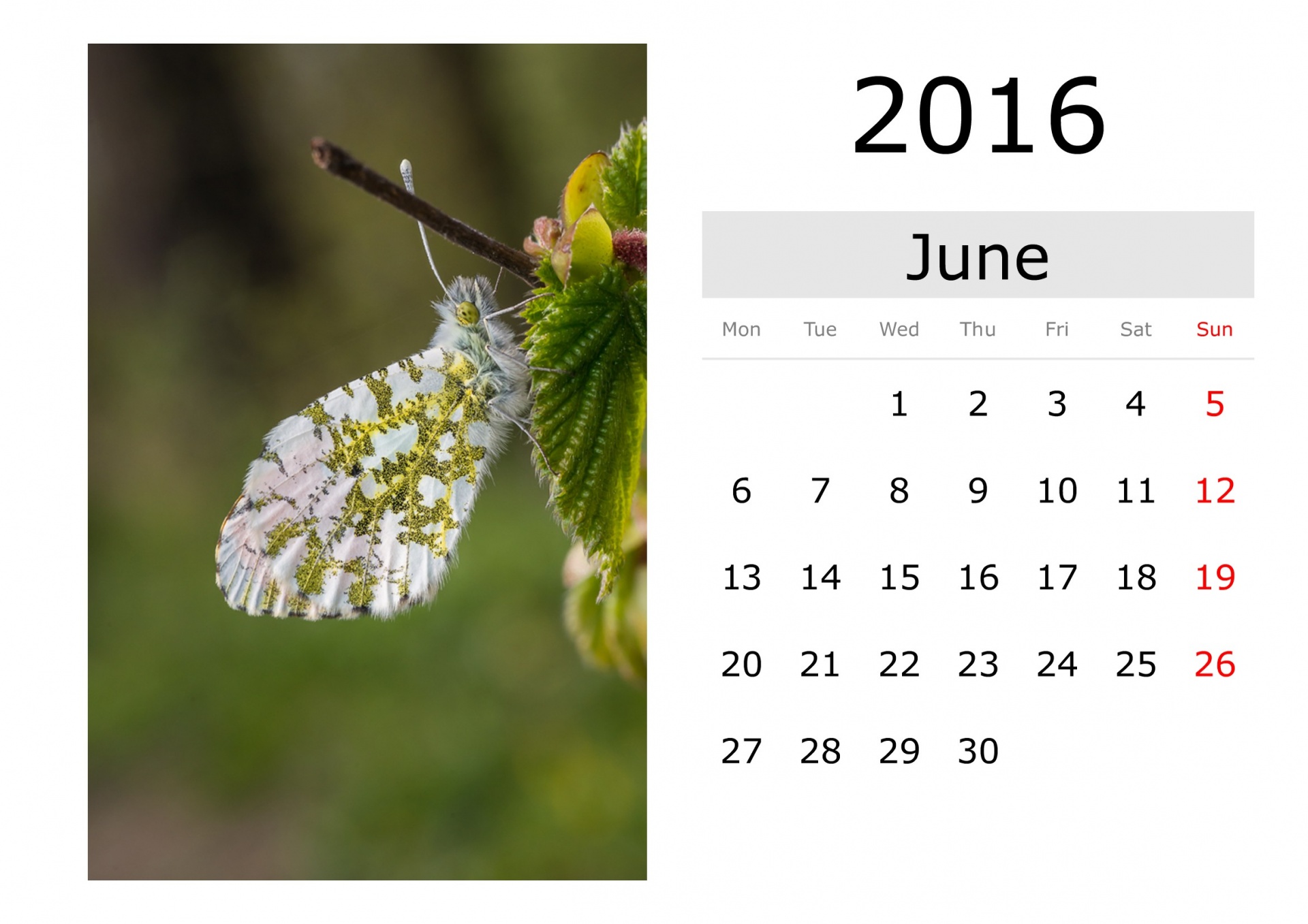 Calendar - June 2016 (English)